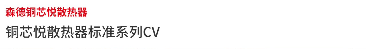 銅芯悅CV標(biāo)準(zhǔn)型