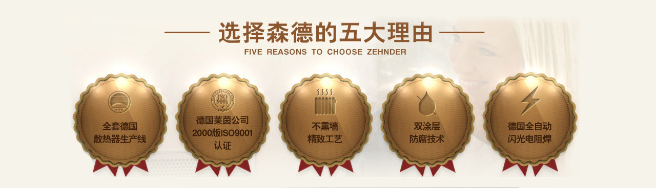 森德泛恩散熱器-森德官方網(wǎng)站